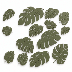 Monstera – listy