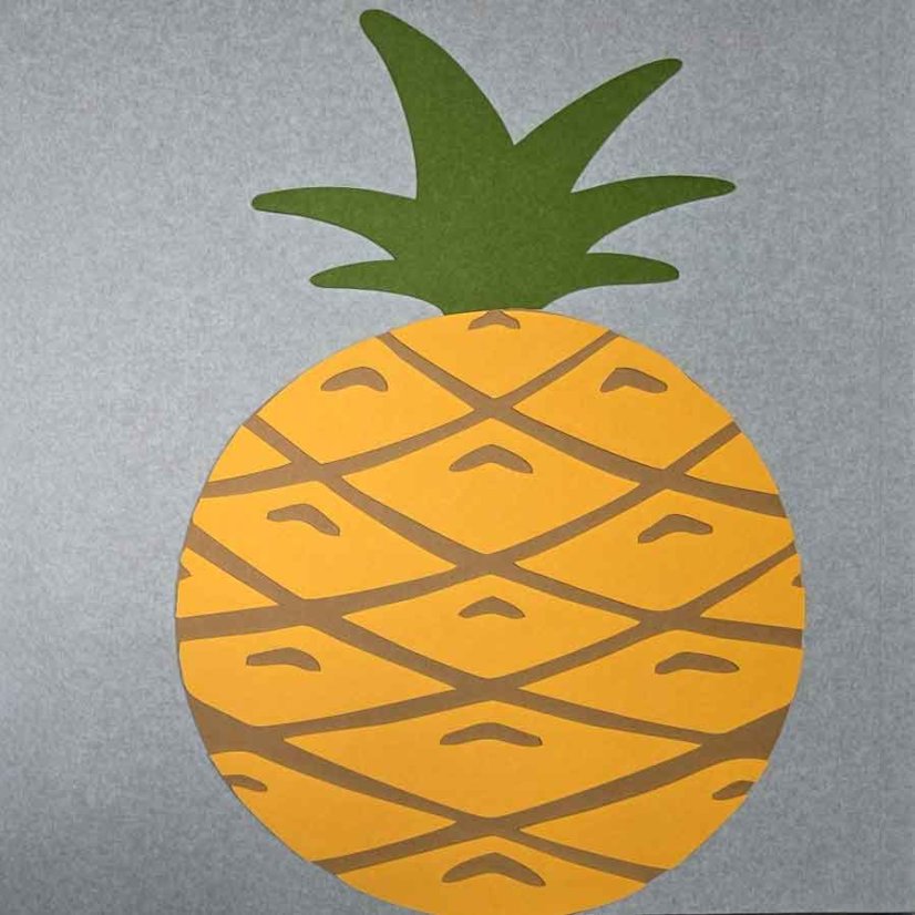 Filcový ananas