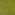 Olive 04