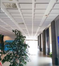 Modular B Natur