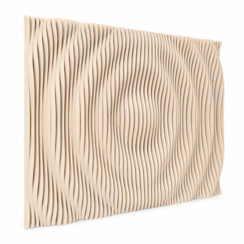 parametricky akusticky obraz