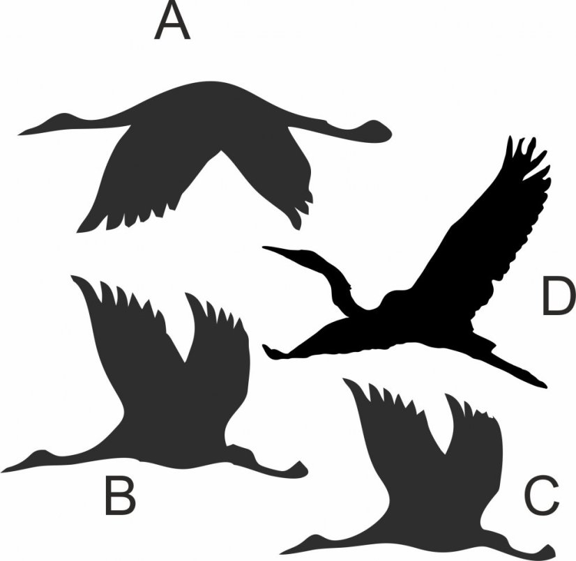 Dekorácia - žeriavy - Variant: B