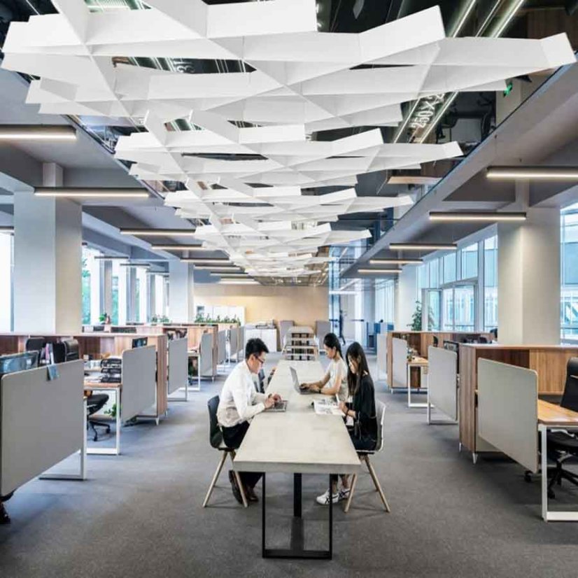 Biely Grid Expression v office