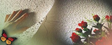 DEKORTA rolované vzory