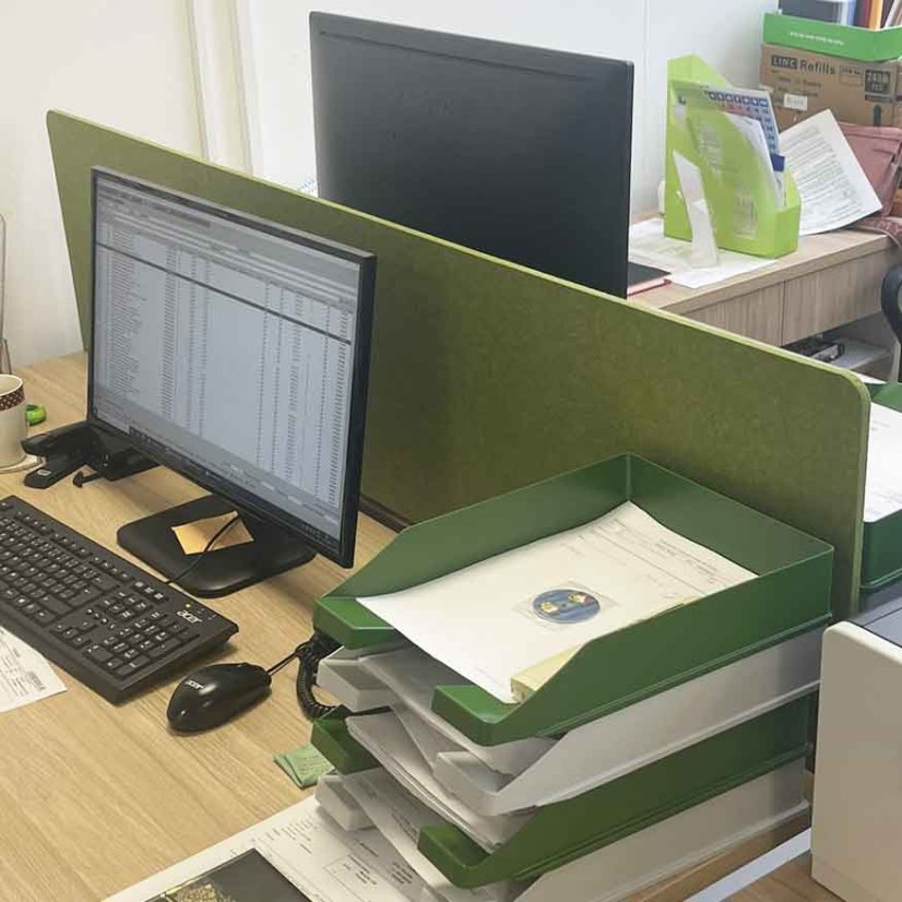 Stolový paraván Ester - Hrúbka prvku: 9mm, rozmer paravanu: 800x400mm
